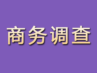 内黄商务调查